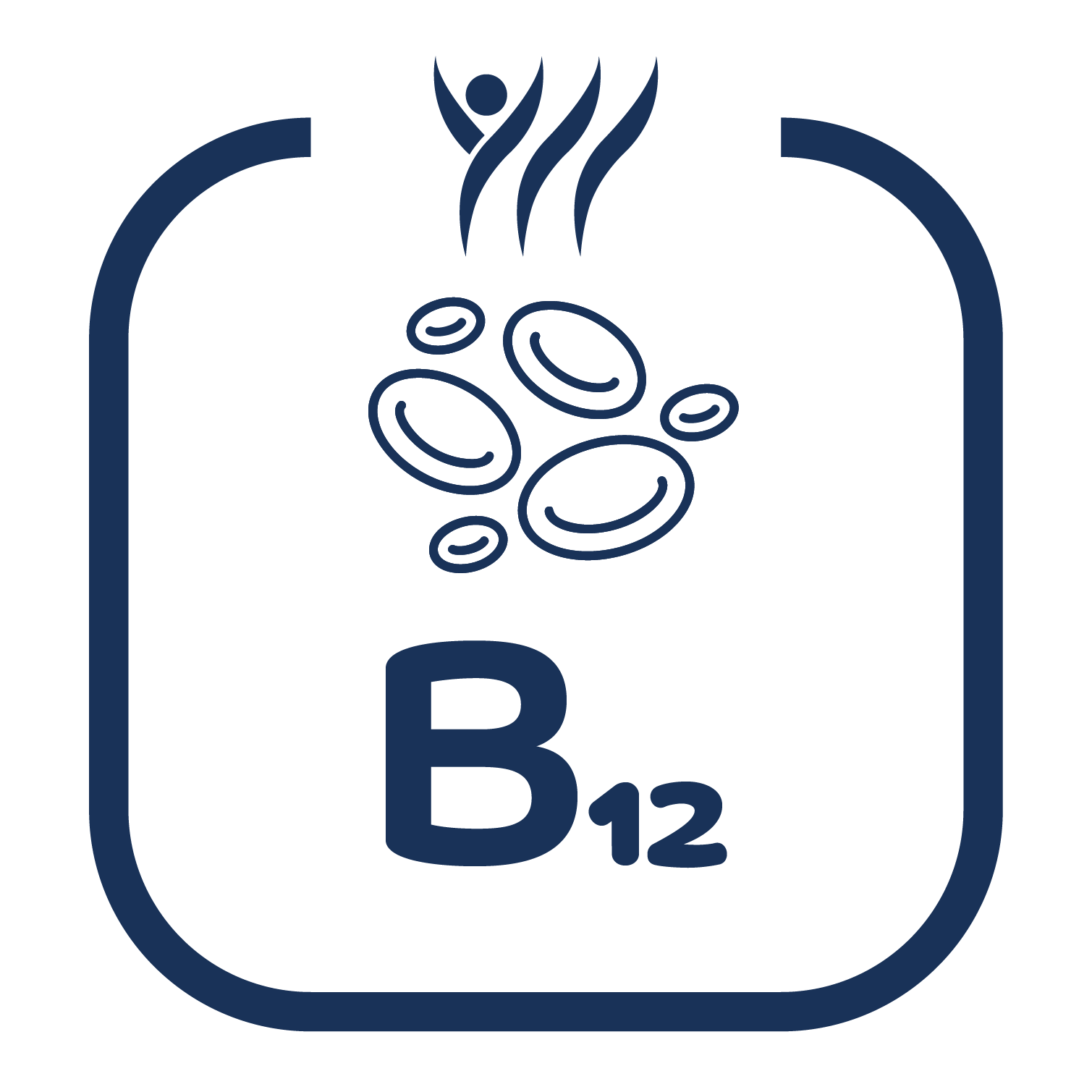 Vitamin B12 Icon