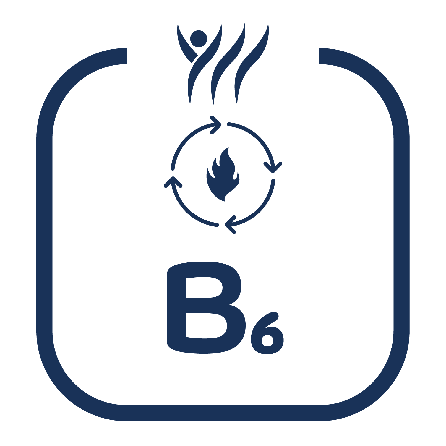 Vitamin B6 Icon