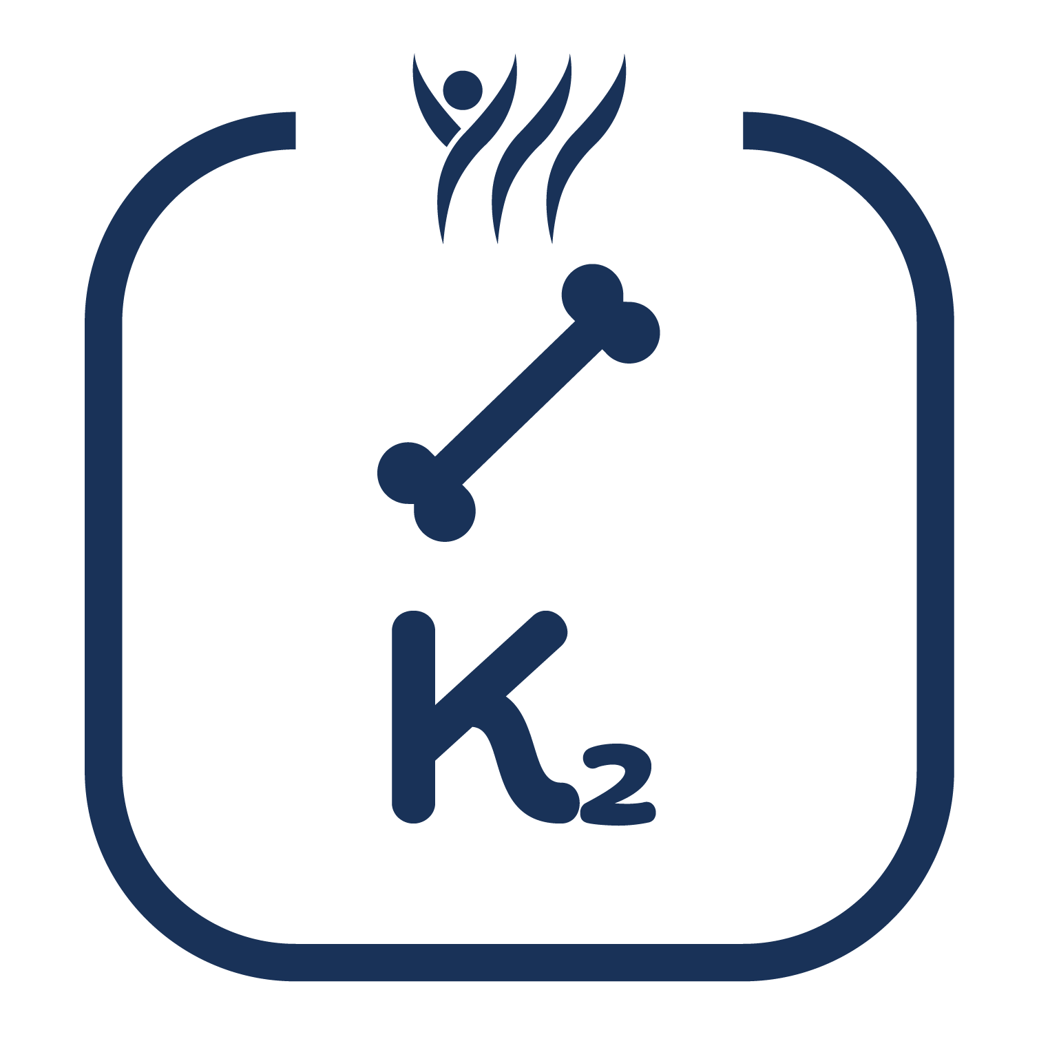 Vitamin K2 Icon