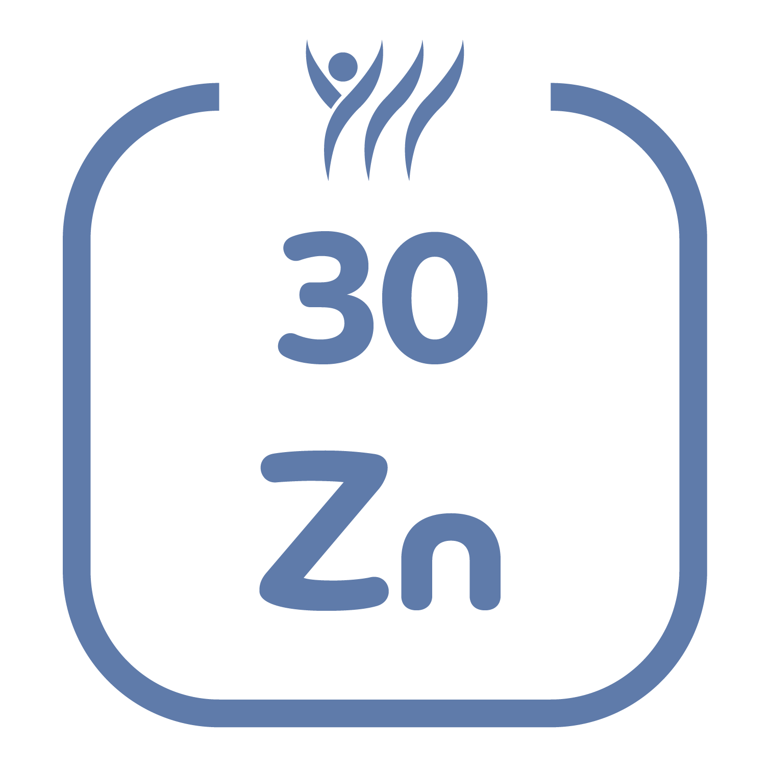 Zinc Icon