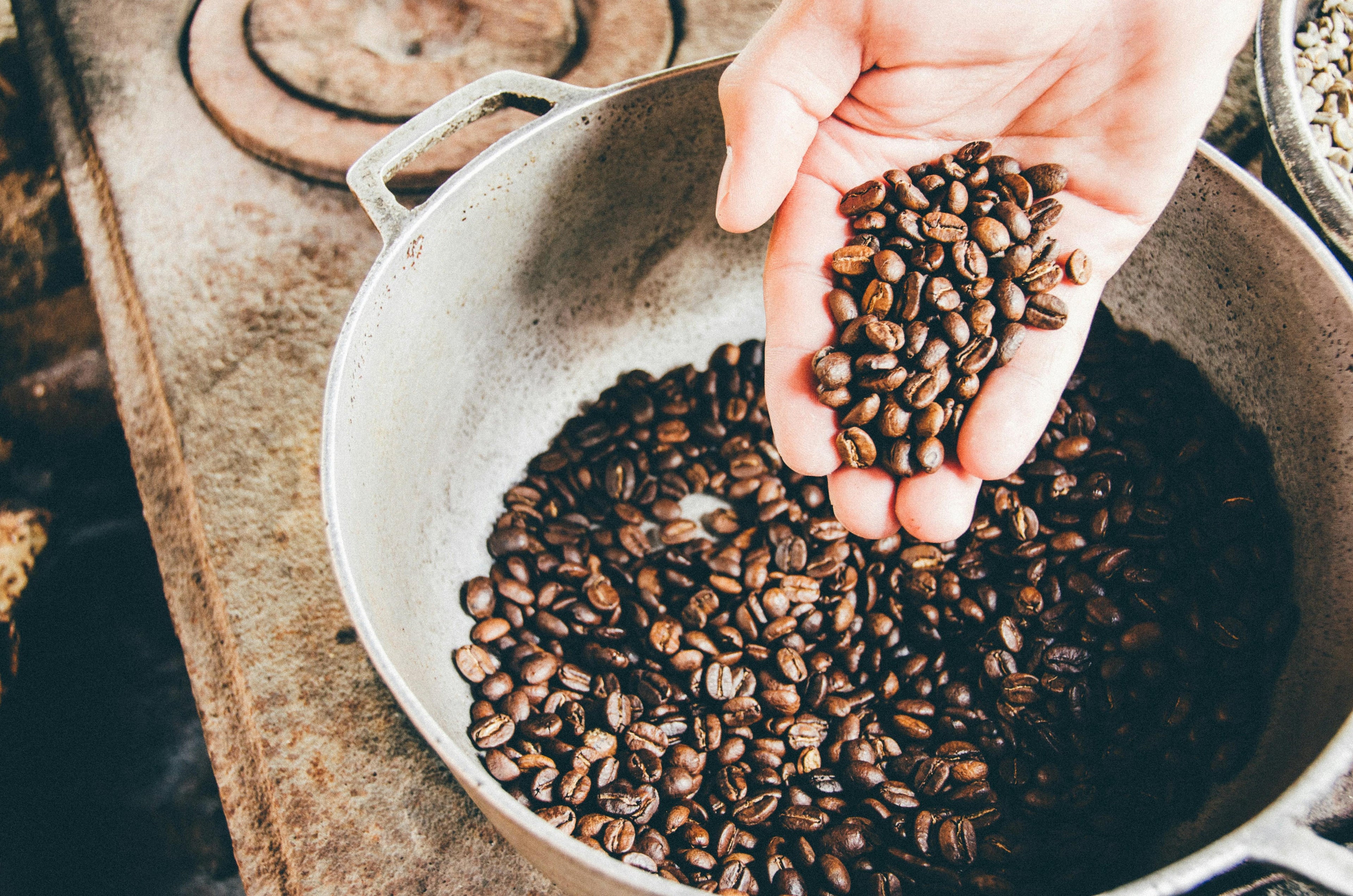 Fresh Coffee Beans in Hand